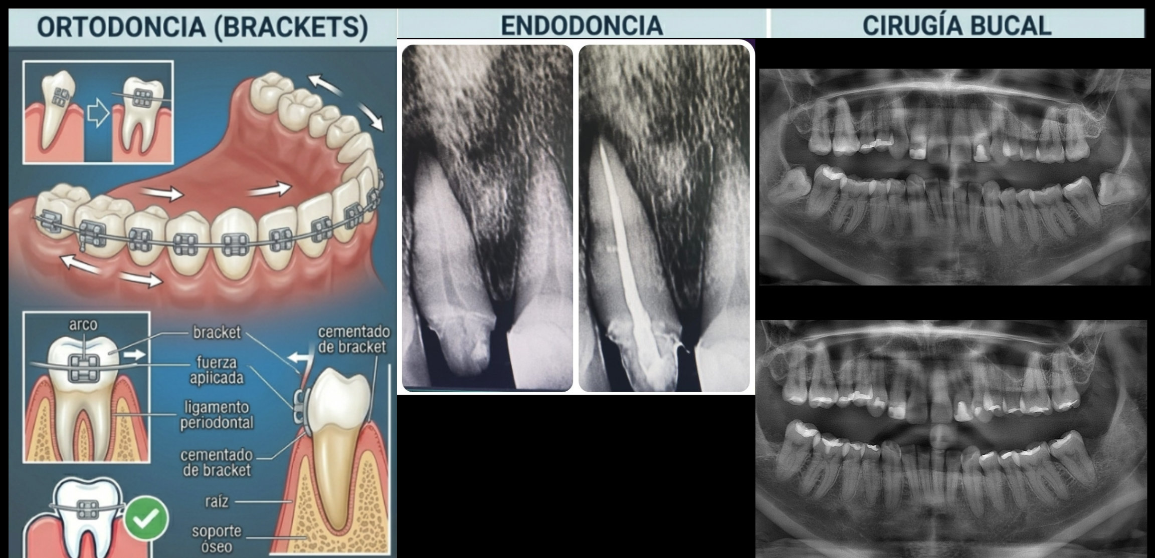 https://psicomedicadental.com/wp-content/uploads/2026/04/dont-e1779584815339.png