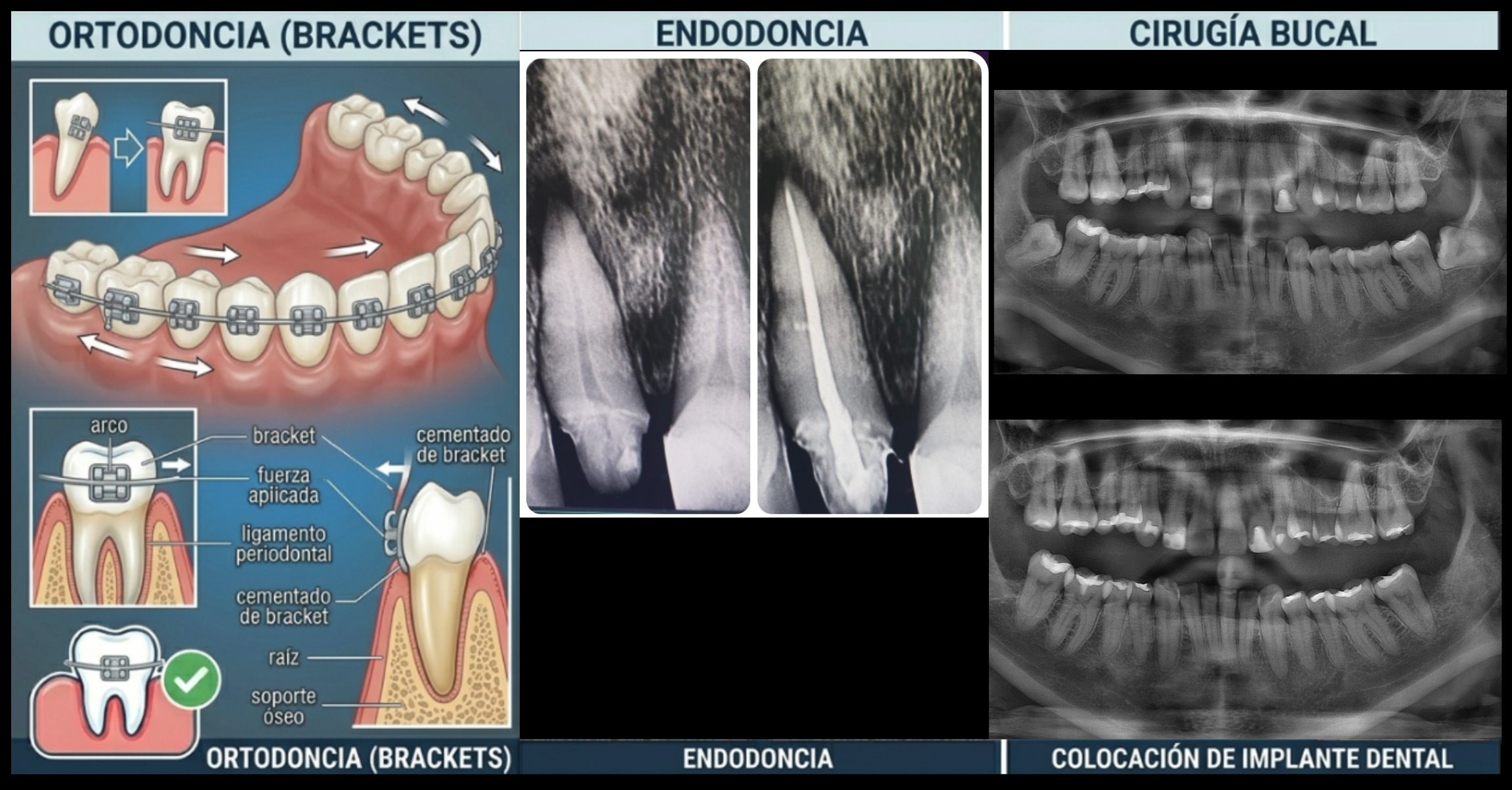 https://psicomedicadental.com/wp-content/uploads/2026/04/dont.png